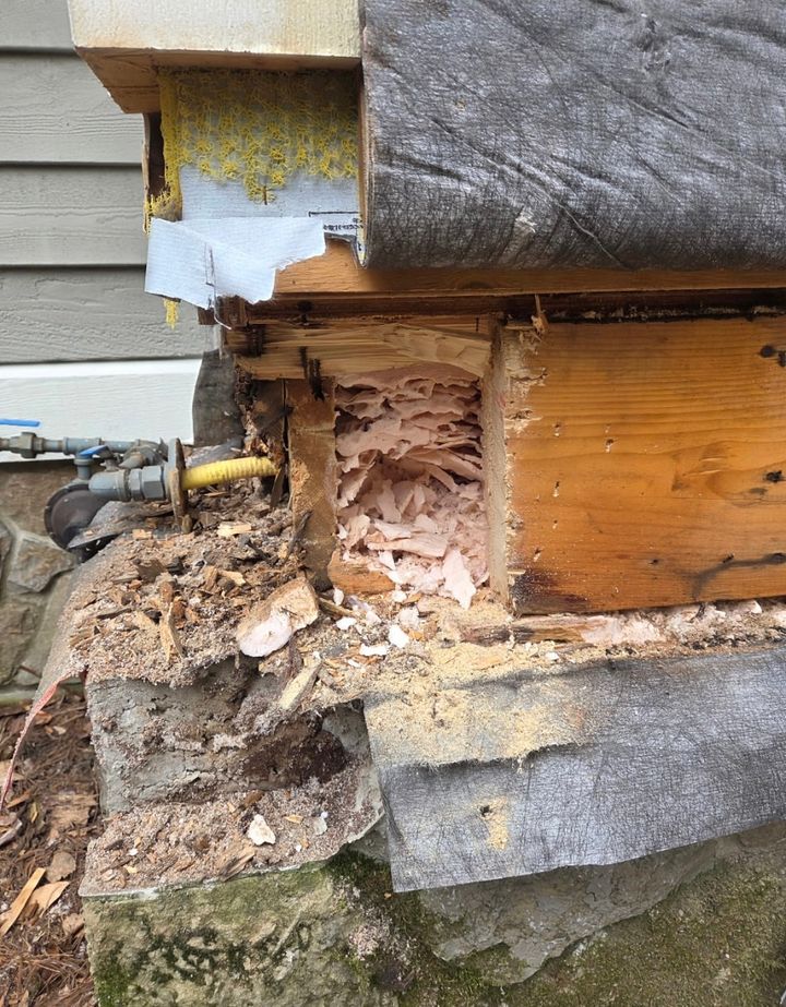 Rotted wall framing and sill opened up at a house corner above a stone foundation, with crumbling insulation beside a gas line